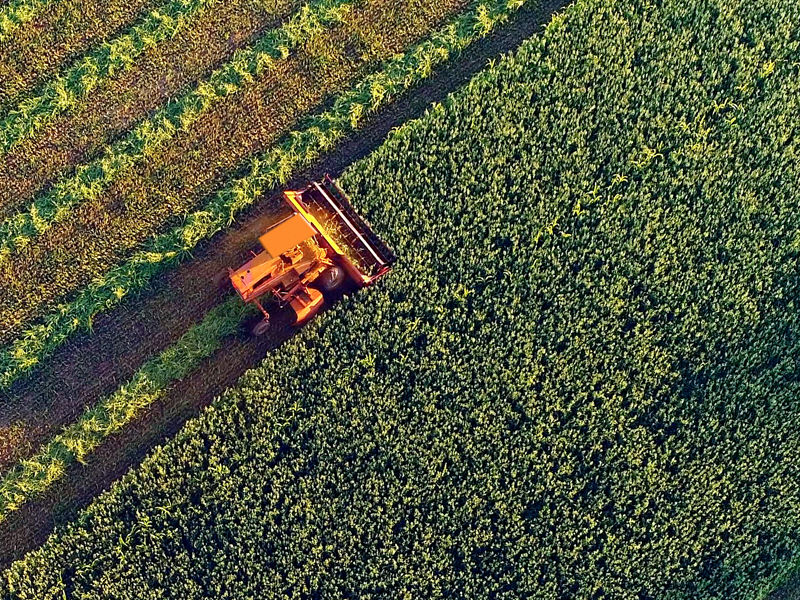 Stock agriculture photo