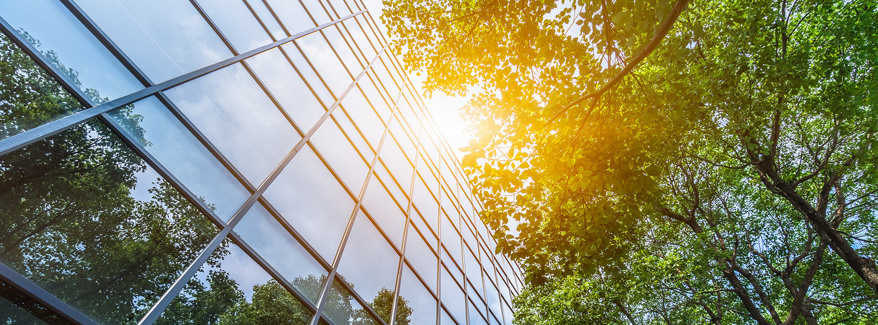 Modern office building with green trees